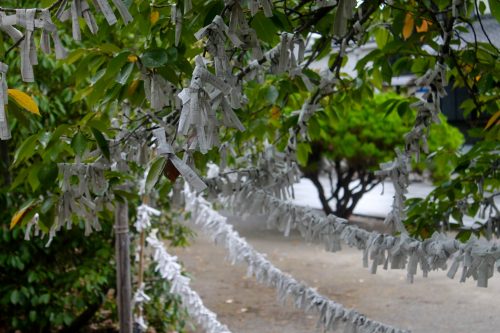 Dans l'enceinte du château de Nakatsu, dans la préfecture d'Oita, Japon