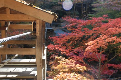 Pont du singe sauvage, vallée d'Iya, préfecture de Tokushima, Shikoku, Japon