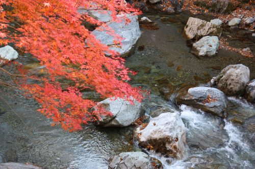 Vallée d'Iya, préfecture de Tokushima, Shikoku, Japon