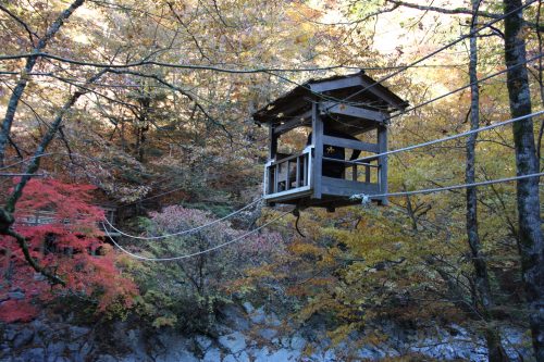 Pont du singe sauvage, vallée d'Iya, préfecture de Tokushima, Shikoku, Japon