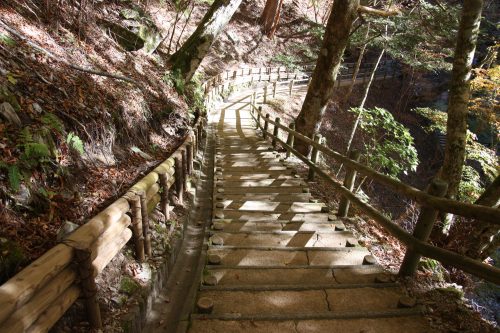 Sentier menant au pont en liane d'Oku Iya, vallée d'Iya, préfecture de Tokushima, Shikoku, Japon