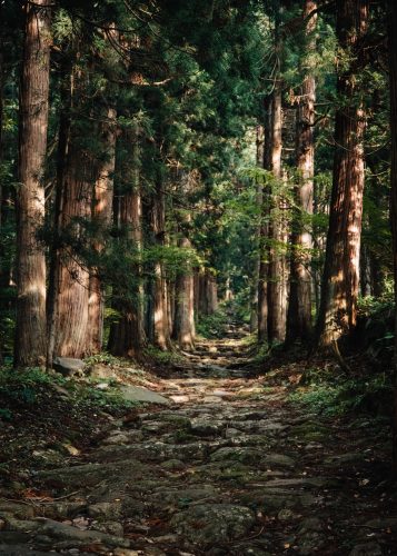 Sanctuaire de Kosuge, village de Kosuge, près d'Iiyama, préfecture de Nagano, Japon