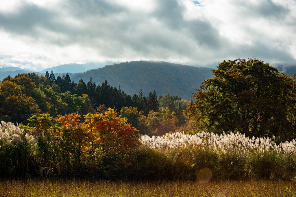 Découverte de la cuisine et des produits locaux d’Iiyama