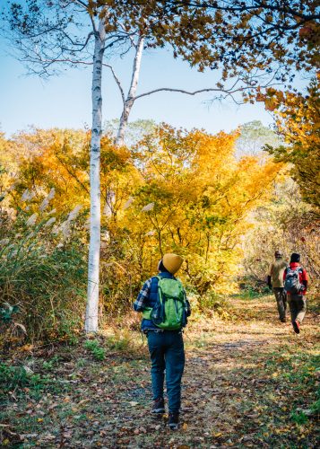 Randonnée sur le Shin-etsu Trail, Préfecture de Nagano, Japon