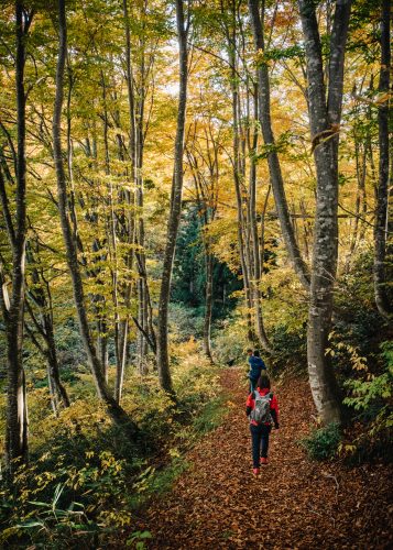 Randonnée sur le Shin-etsu Trail, Préfecture de Nagano, Japon