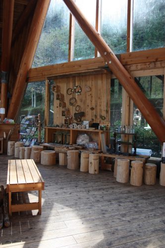 Forest Adventure dans la vallée d'Iya, préfecture de Tokushima, Shikoku, Japon