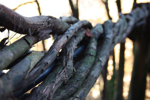 Kazurabashi d'Oku Iya, préfecture de Tokushima, Shikoku, Japon