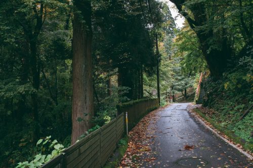 Sur la route du temple de Nisseki, Funahashi, préfecture de Toyama, Japon