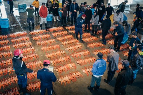 Marché aux poissons Shinminato, près du Parc de Kaiwomaru, Takaoka, baie de Toyama, Japon