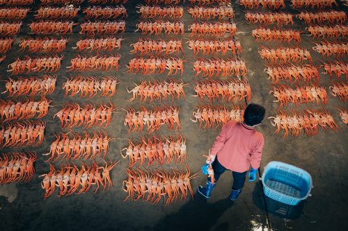 Marché aux poissons Shinminato, près du Parc de Kaiwomaru, Takaoka, baie de Toyama, Japon