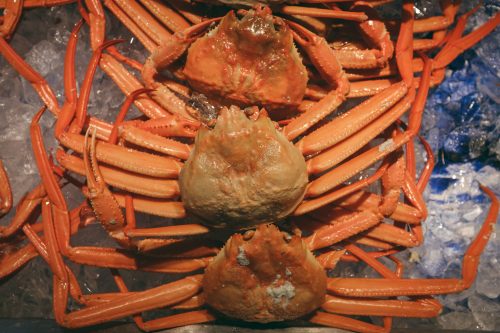 Marché aux poissons Shinminato, près du Parc de Kaiwomaru, Takaoka, baie de Toyama, Japon