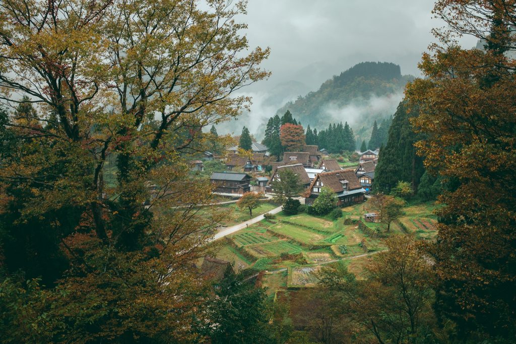 À la découverte de Gokayama et des alentours