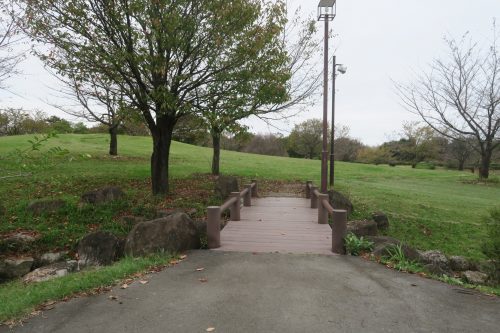 Ancien étang aux lotus de Gyoda, non loin de Kumagaya dans la préfecture de Saitama, Japon