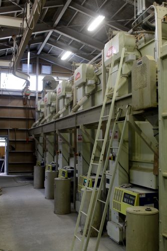 Récolte et polissage du riz à Murakami, préfecture de Niigata, Japon