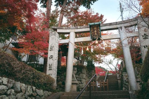 Randonnée sur les hauteurs de Mino, Osaka, région de Kinki, Japon