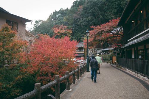Couleurs d'automne sur les érables de Mino, Osaka, région de Kinki, Japon
