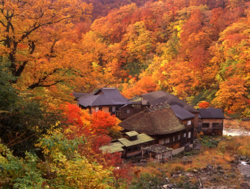 Les magnifiques feuillages d'automne à Nyuto Onsen, Akita, Japon