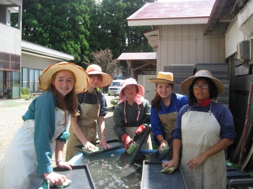 Participation aux activités du quotidien lors d'un séjour à la ferme à Semboku, Akita, Japon