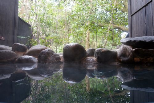 Onsen privatif avec vue sur une forêt de bambou à Hakone, Kanagawa, Japon