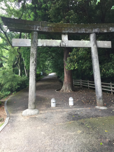 Torii de pierre à l'entrée du sanctuaire de Saiki, Oita, Kyushu