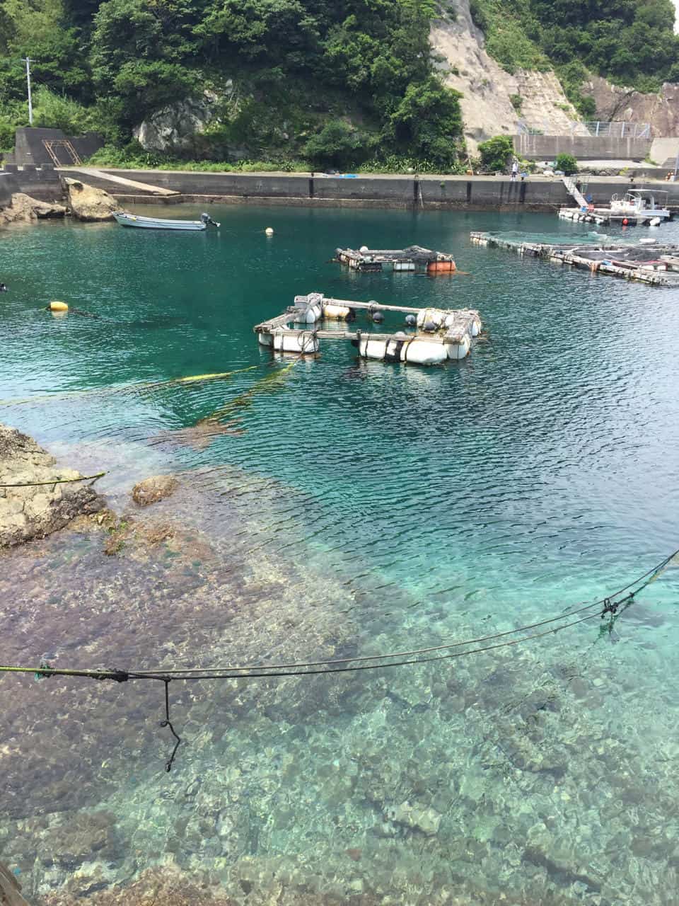 Dans les eaux turquoises de Kyushu à Fukashima et Yakatajima