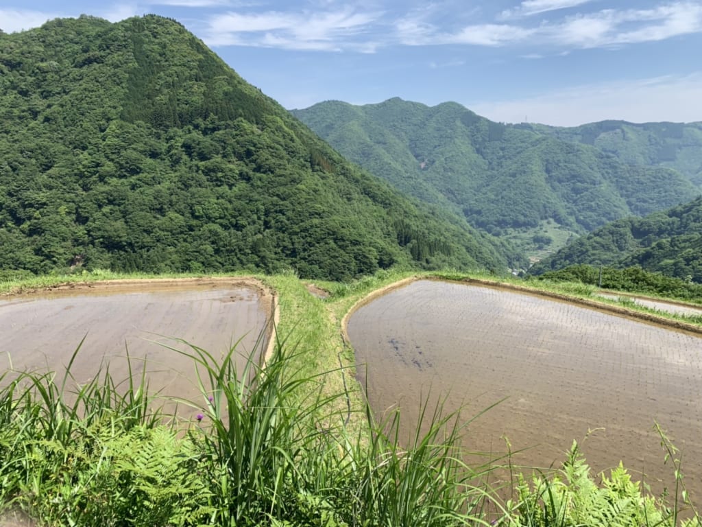 Séjour dans une ferme à Takachiho