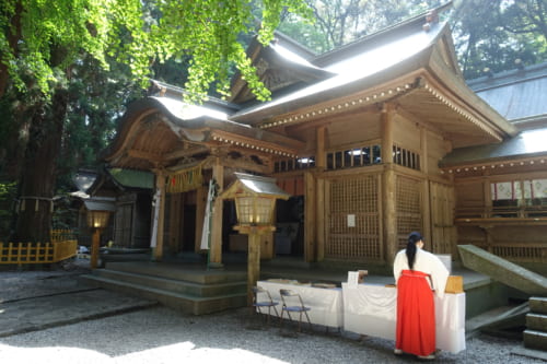 Une miko vêtue de rouge et blanc devant le bâtiment principal du sanctuaire de Takachiho, Miyazaki, Kyushu
