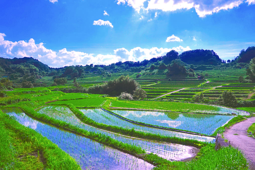 Les rizières d'Inabuchi Tanada au début de l'été, inondées sous un ciel bleu