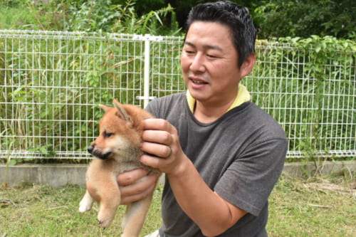M. Miyazaki portant un chiot shiba inu, dans un espace grillagé entouré de verdure