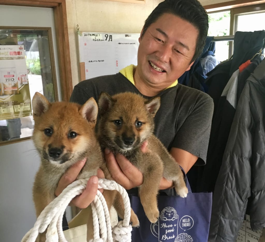 Eleveur de shiba inu portant deux chiots
