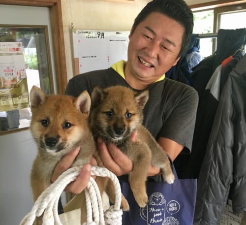 M. Miyazaki, présentant deux chiots shiba inu