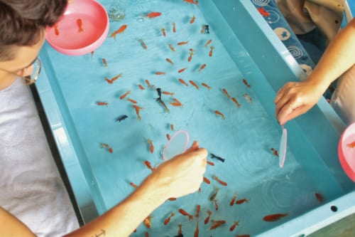 Deux personnes jouant au kingyousukui vues en plongée