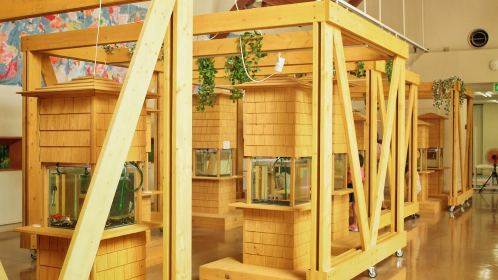 Aquariums encastrés dans une structure de bois clair