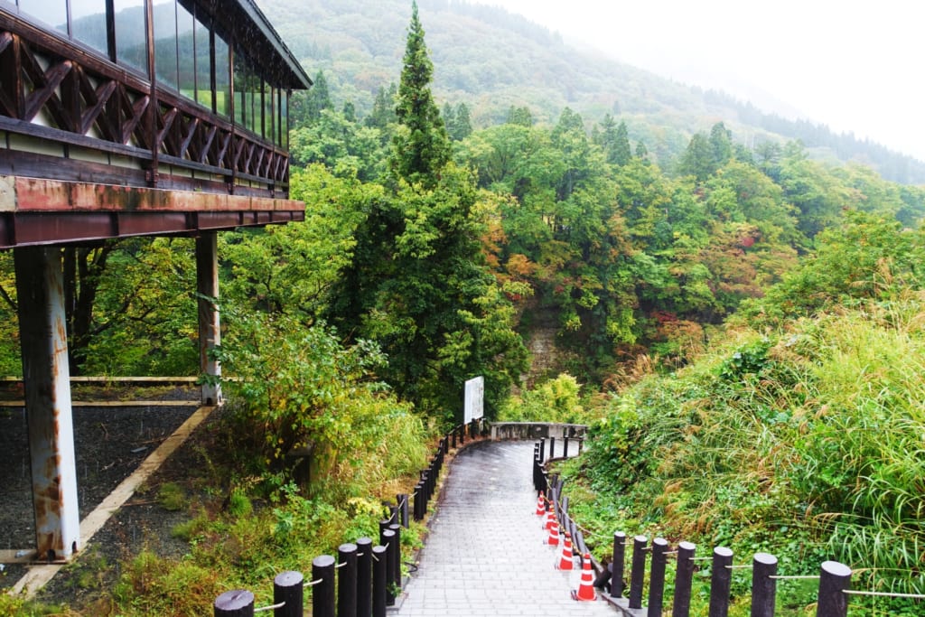 Le sentier de randonnée qui s'enfonce dans les gorges d' oyasukyo dans la préfecture d'Akita