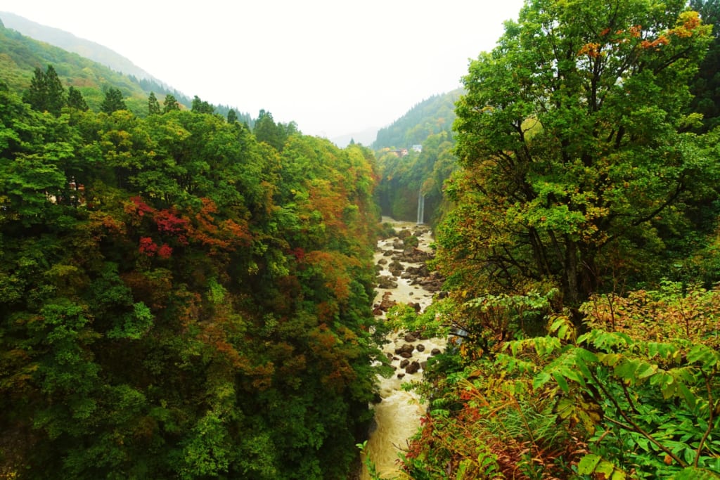 Première vue sur les gorges d' Oyasukyo.