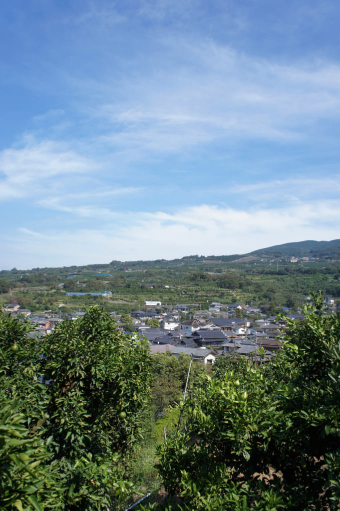 Vue sur le paysage depuis le Mizumoto Orange Garden
