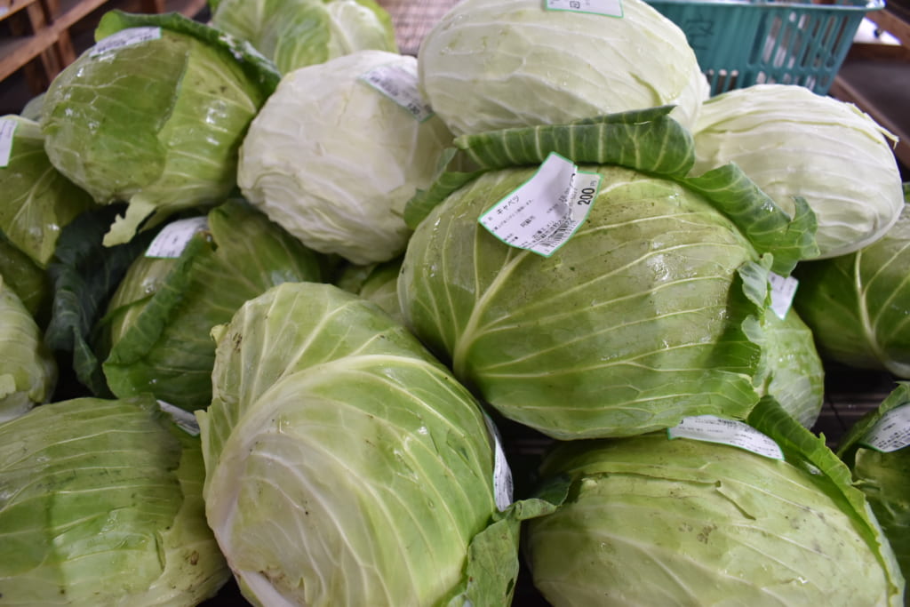 Choux blancs en vente dans la michi-no-eki à Aso