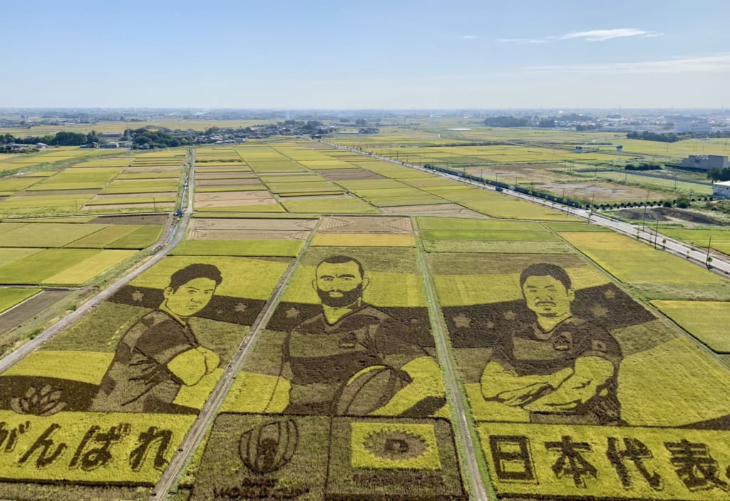 Les rizières de la ville de Gyoda décorées aux motifs de la coupe du monde de rugby