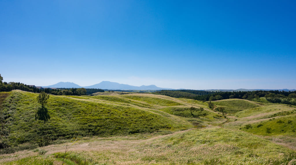 Paysage verdoyant sous le ciel bleu sur la route de Waita Onsen