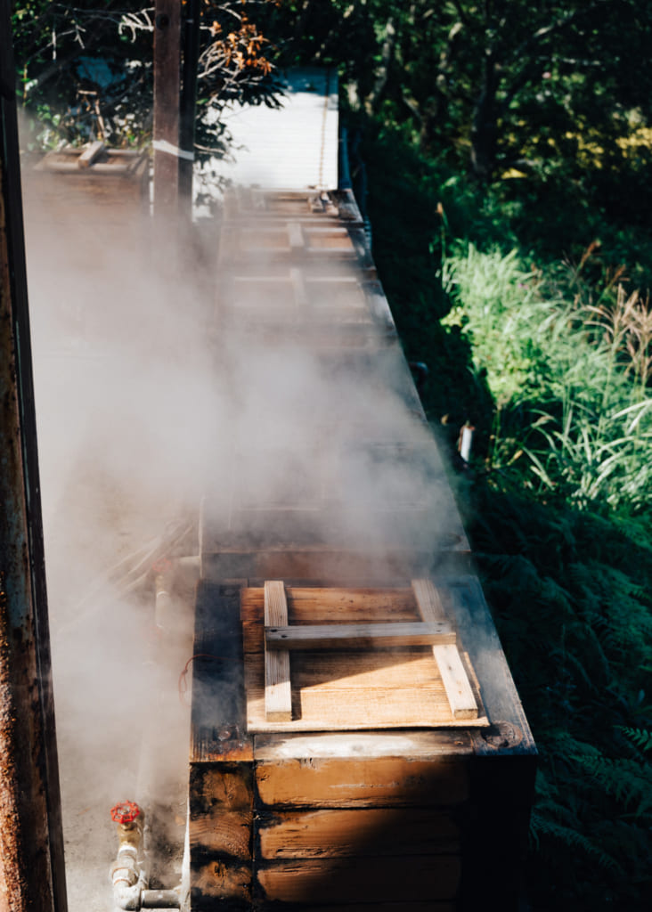 Vapeur émanant de l'installation pour cuire des aliments
