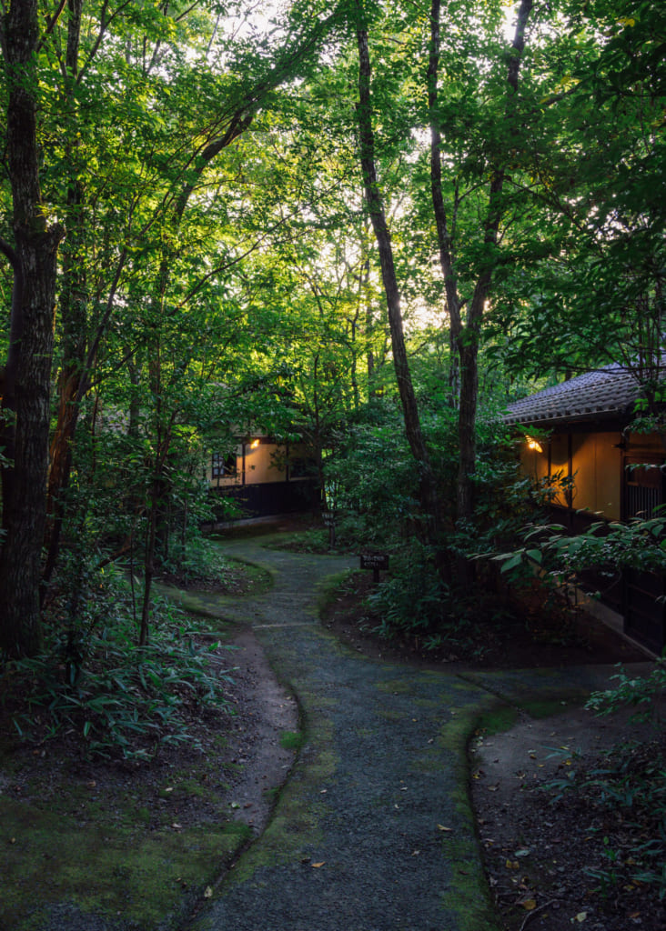 Les bâtiments cachés dans la forêt de Yuka Onsen, à Waita Onsen