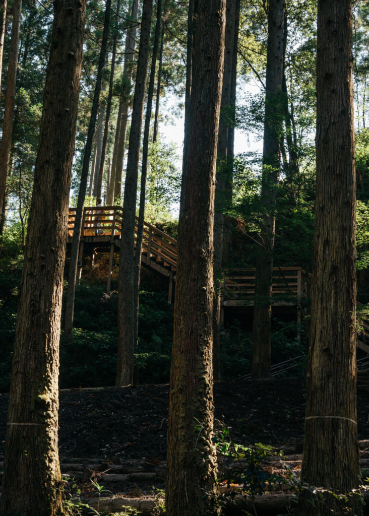 Derrière les arbres, les marches de bois qui mènent aux chutes de Nabegataki 