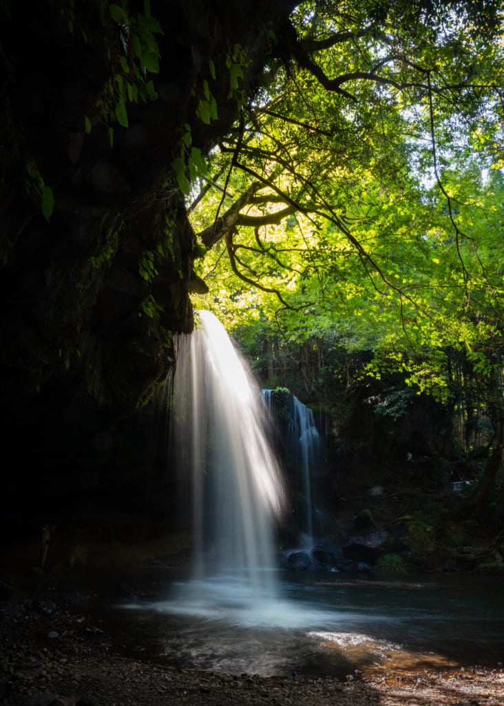 Cascade lumineuse dans l'obscurité sous le feuillage