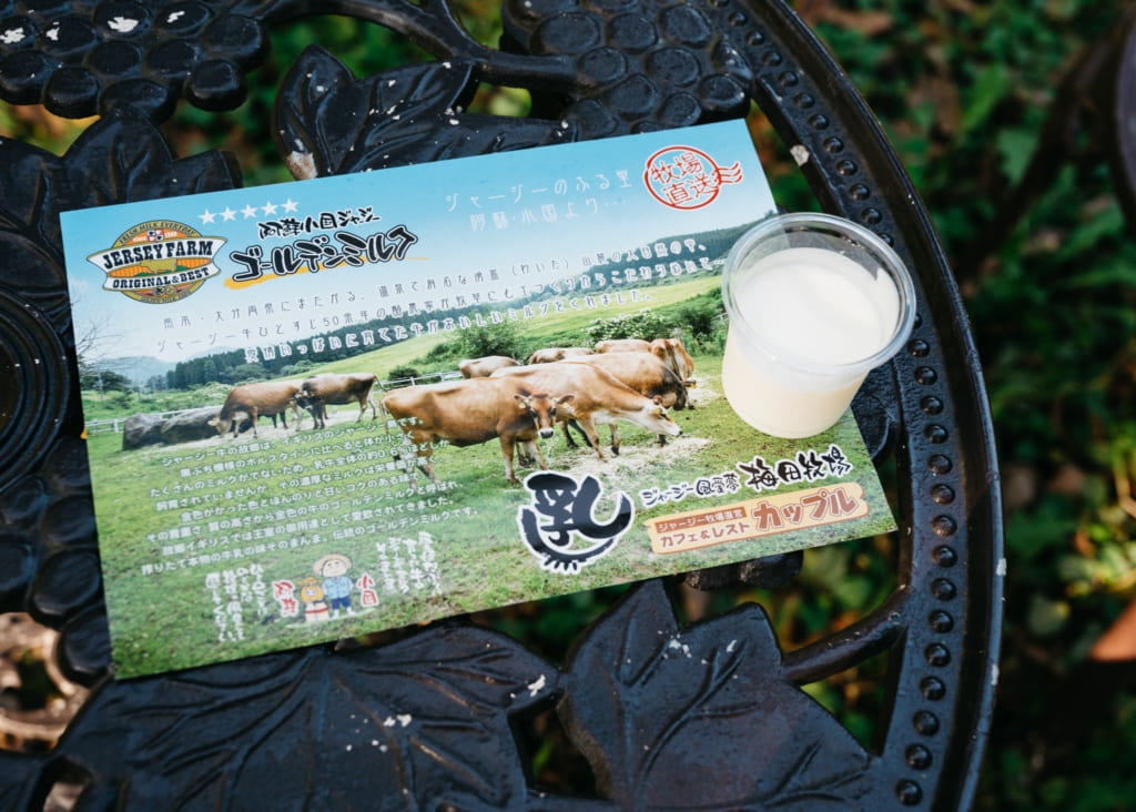 Petit pot de yaourt sur un dépliant de l'élevage de Jersiaises