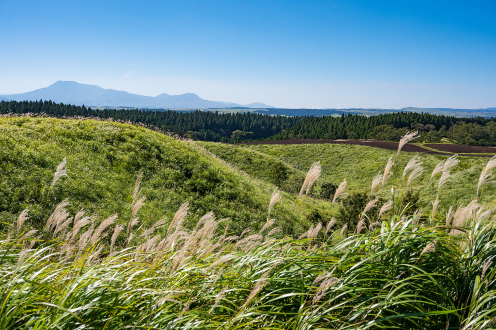 Paysage cerdoyant de la caldeira du mont Aso visible lors des promenades à vélo