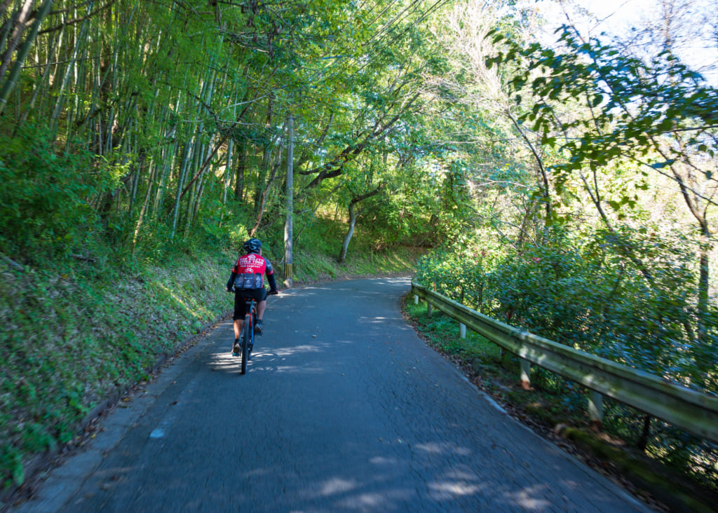Le guide sur son vélo traversant un sous-bois
