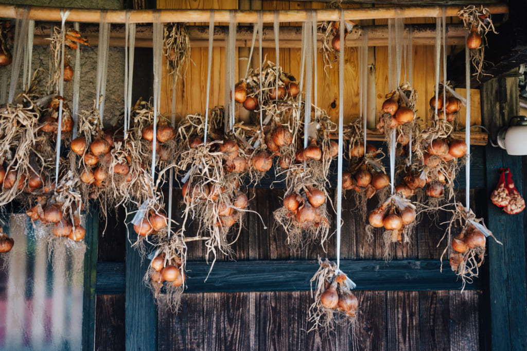 Oignons suspendus dans un village rural de Kumamoto