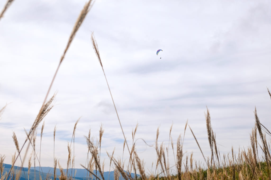 Parapente dans le ciel d'Aso : une des activités de plein air à pratiquer à Kumamoto