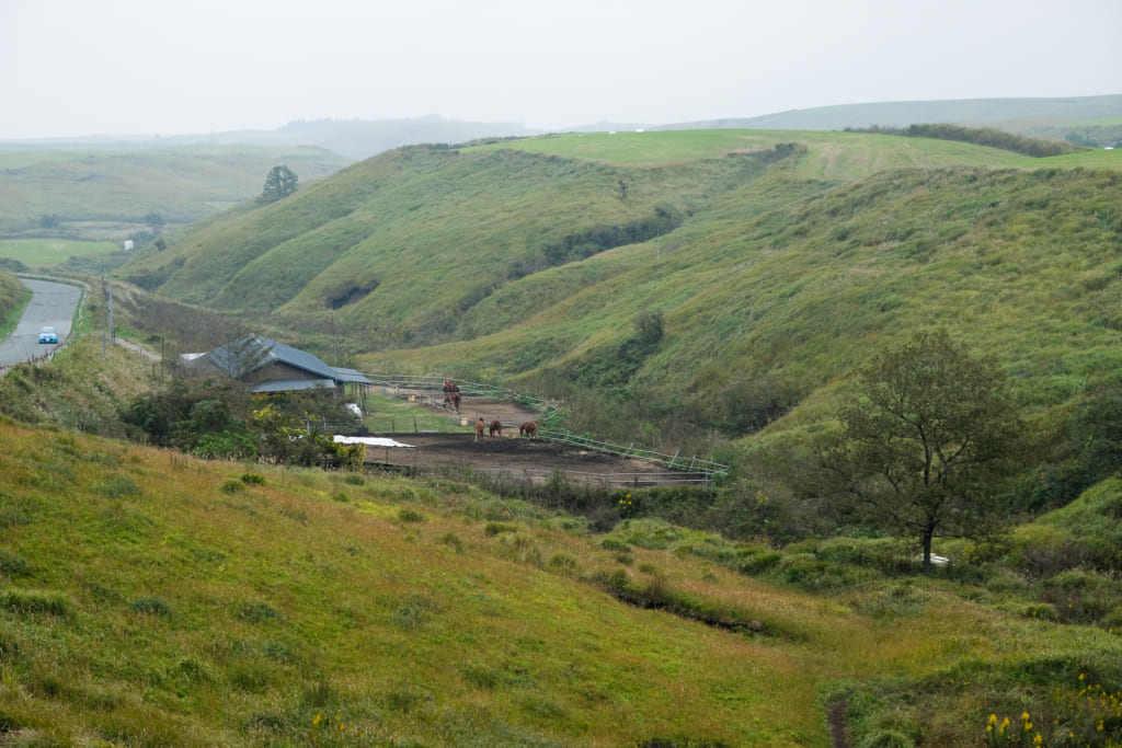Chevaux dans le paysade d' Aso à El Patio Ranch, Kumamoto