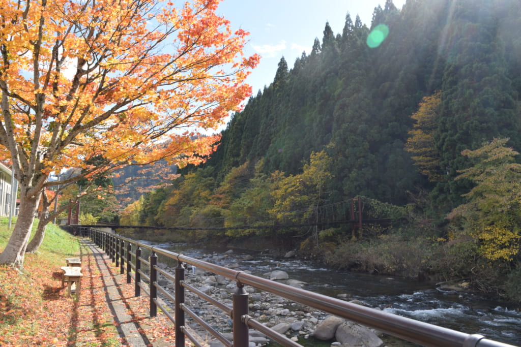 Chemin de randonnée paisible en bord de rivière pour se rendre au Kawara no Yukko